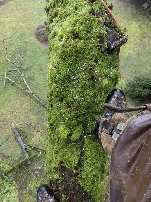 Home Heritage Tree Care LLC Ellensburg